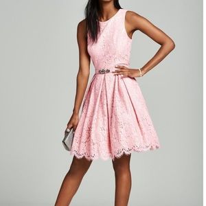 Eliza J Lace Dress